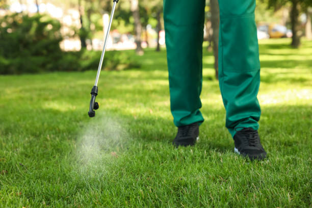 Trusted De Motte, IN Pest Control Experts